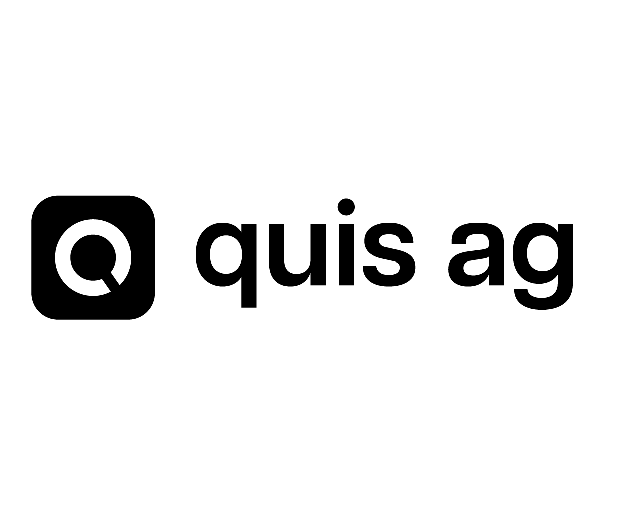 QUIS AG – IT follows Business